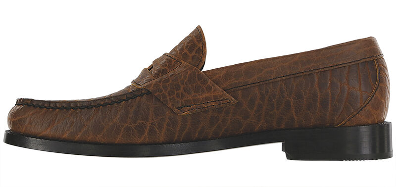 Penny Signature Brown Bison Left Side View