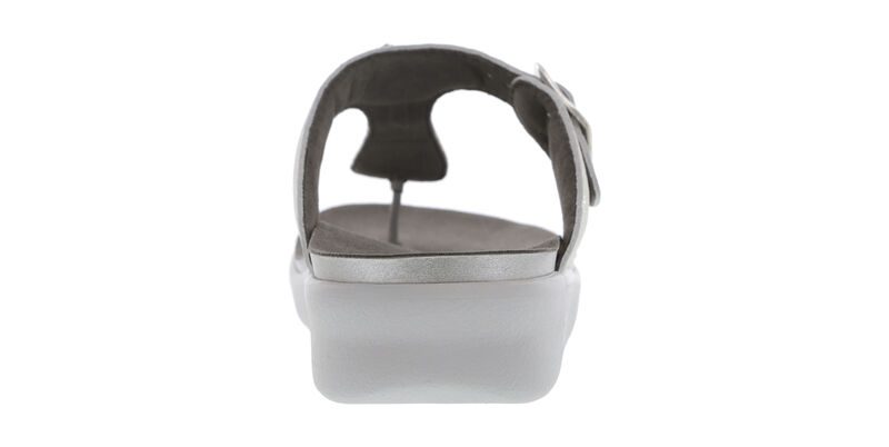 Dazzle Shiny Silver Rear View