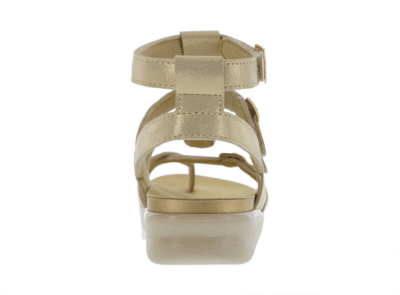 Aria Soft Gold Rear View