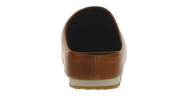 Hinny Chestnut Right Rear View