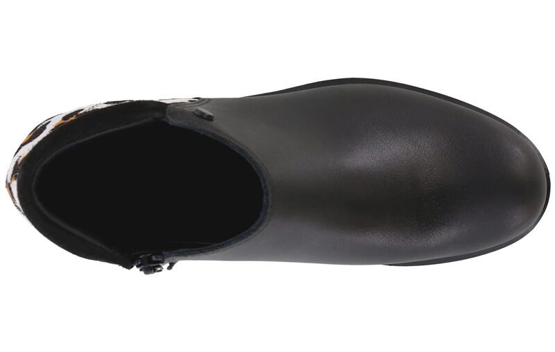 Bethany Sand Leo .75 Top View