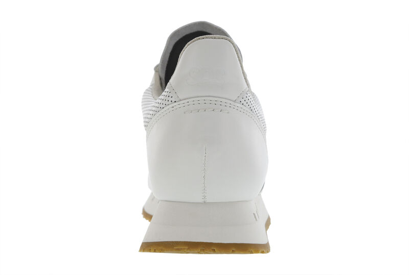7eventy6ix-Y Blanc Rear View