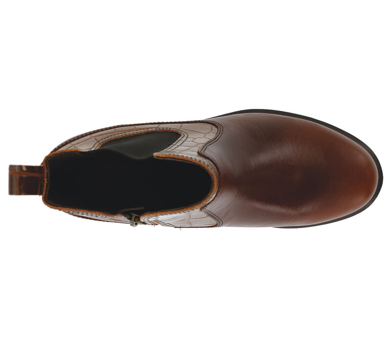Mojo Terracotta Mix Top View