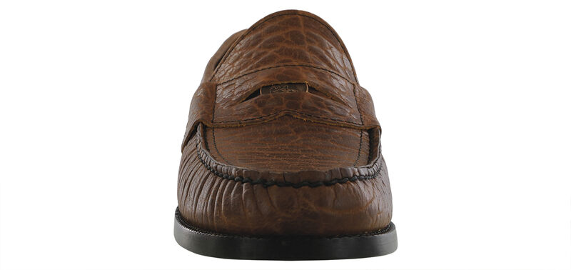 Penny Signature Brown Bison Front View