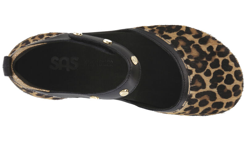 Eden LTD Wild Cat Top View