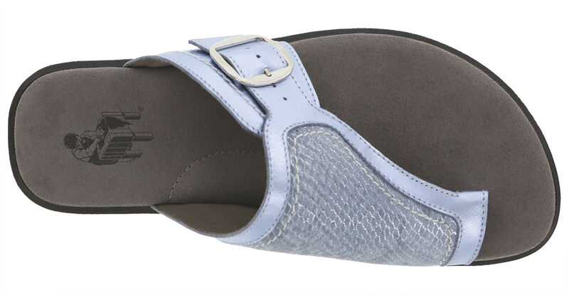 Market Spring Blue Top View