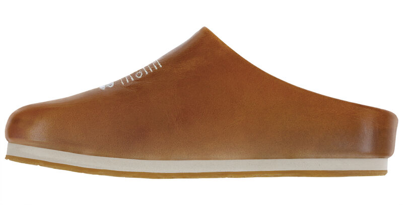 Hinny Chestnut Right Side View