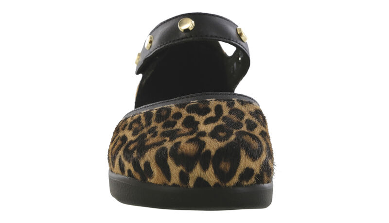 Eden LTD Wild Cat Front View