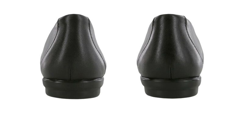 Scenic Black Pair Rear View