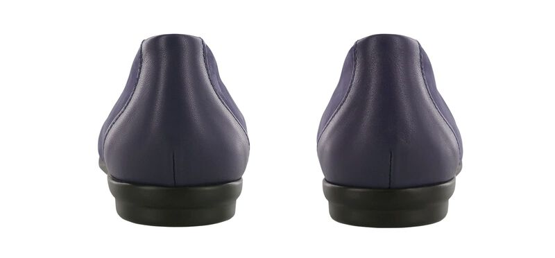 Scenic Cosmic Blue Pair Rear View